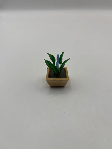 D2538 - Flower in square pot