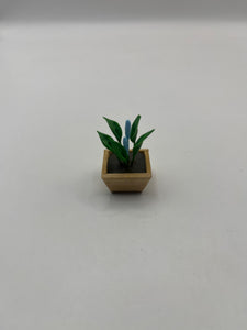D2538 - Flower in square pot