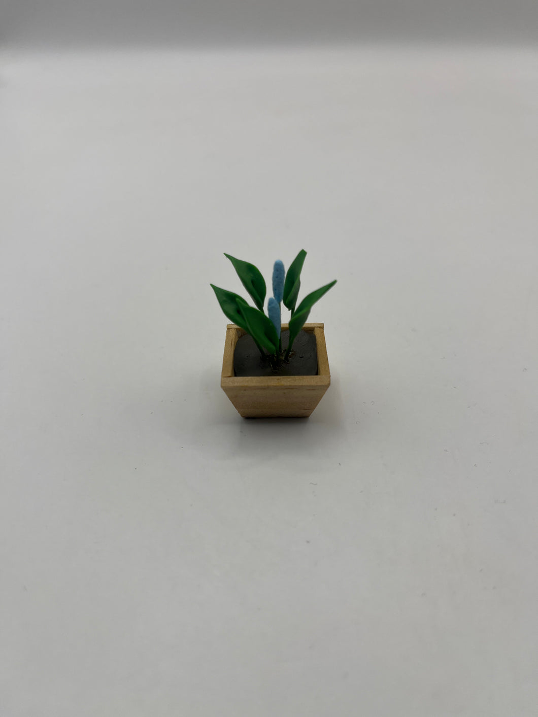 D2538 - Flower in square pot
