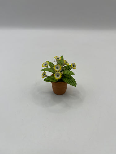 ACC119 - Potted flower