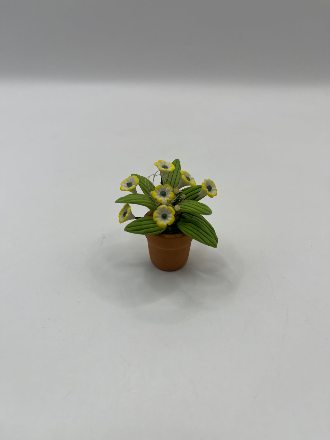 ACC119 - Potted flower