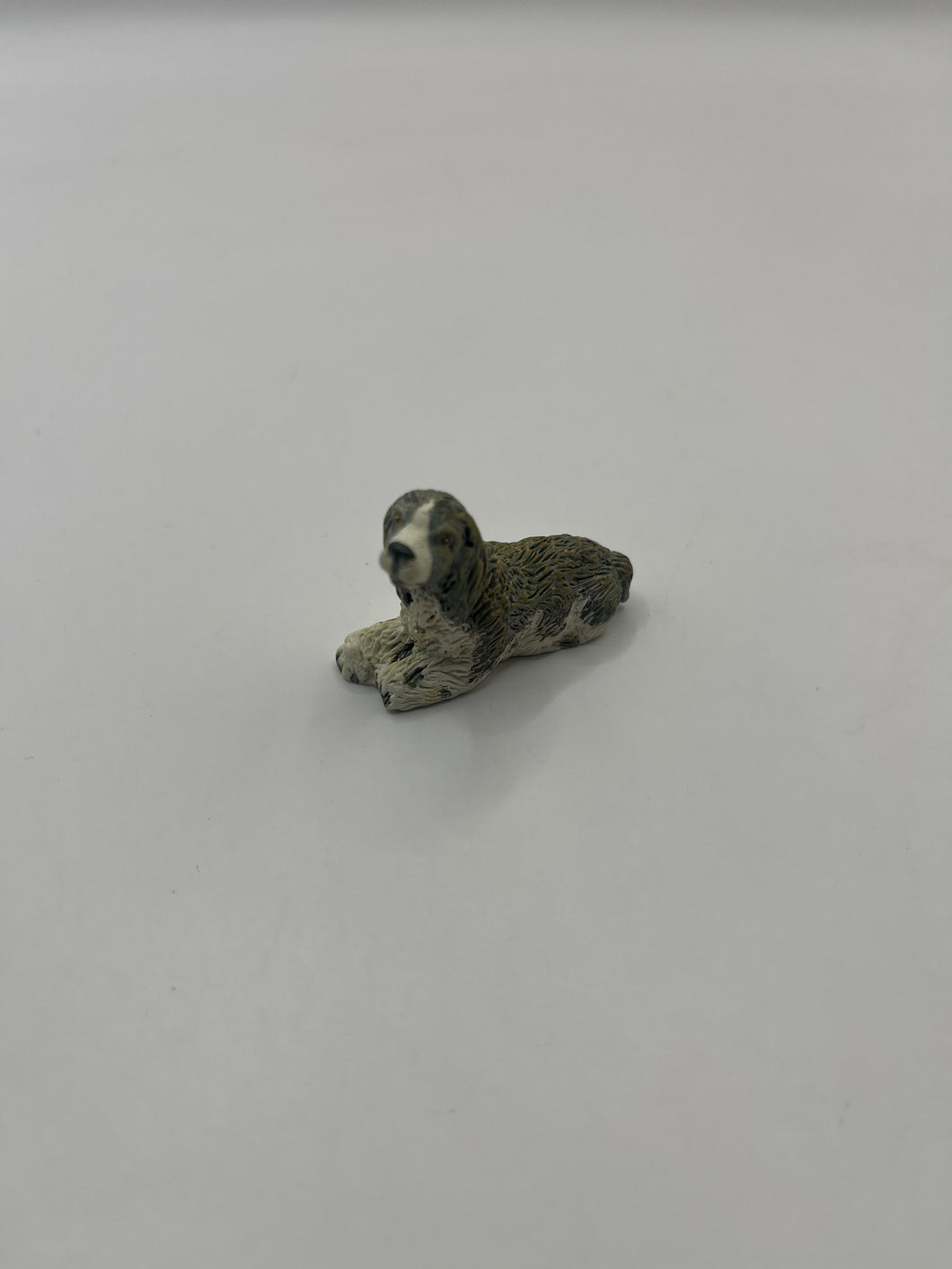 ACC147 - Pet dog