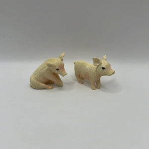 ACC116 - Pet piglets