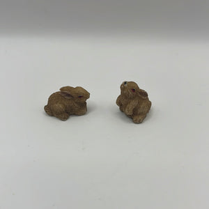 ACC112 - Pair of pet rabbits