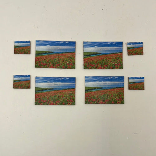 ZR151 - Cork placemats and coasters