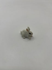 ACC145 - Pet rabbit