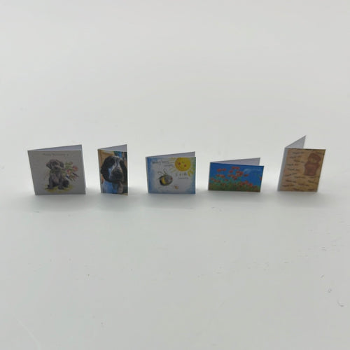 ZR123 - 5 assorted birthday cards