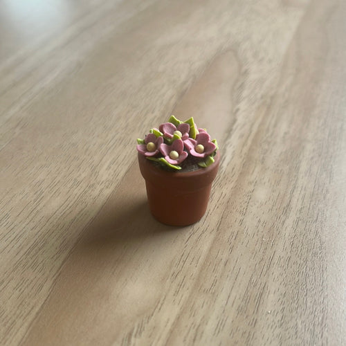 ACC265b - Potted flower